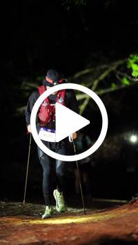 BIB:  <button type="button" onclick="openModal(27566963)" class="btn btn-primary btn-sm float-right" data-toggle="modal" data-target=".modal-high-quality">
                <i class="fa fa-download"></i> Download
                </button>